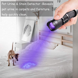 UV LED Flashlight Mini LED Torch 395nm Zoomable blacklight Wavelength Violet Light Pet Urine Scorpion Feminine hygiene Detector - Find Epic Store