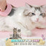 Pet Hair Removal Massaging Shell Comb - Pet Hair Removal Find Epic Store