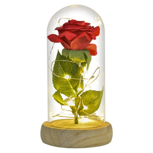 Beauty and The Beast Preserved Roses In Glass Galaxy Rose Flower LED Light Artificial Flowers Christmas Valentine Gift for Girls - Silk Rose-Red 1 Find Epic Store