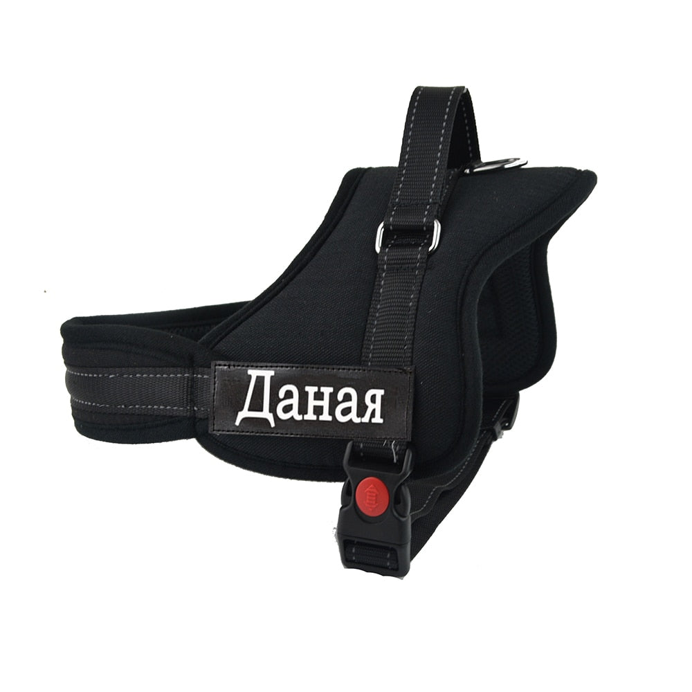 Harness for Dogs - Black / S Find Epic Store