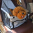 Folding Pet Carrier Pad Car Seat - Find Epic Store