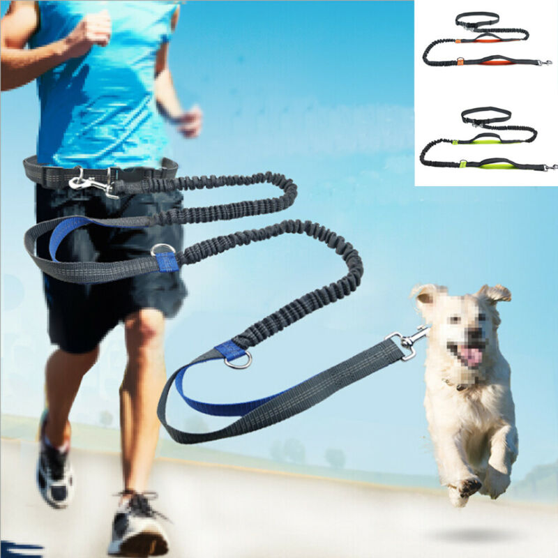 Reflective Rope Pet Leashes - Find Epic Store