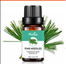 Pure Essential Humidifier and Aromatherapy Oil - Pine Needles Find Epic Store