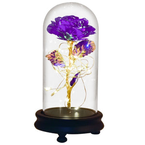 Beauty and The Beast Preserved Roses In Glass Galaxy Rose Flower LED Light Artificial Flowers Christmas Valentine Gift for Girls - Find Epic Store