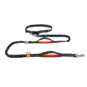 Reflective Rope Pet Leashes - Orange Find Epic Store