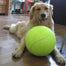 24cm/9.5 Inch Tennis Ball Giant Pet Toy Tennis Ball Dog Chew Toy Signature Mega Jumbo Kids Ball For Pet Dog's Supplies Hot Sale - Find Epic Store