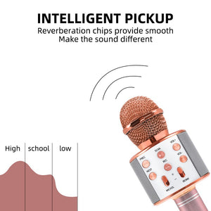 Bluetooth Karaoke Wireless Microphone - Find Epic Store