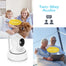 Home Security Surveillance Camera for Baby Monitor - Find Epic Store