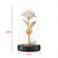 Beauty and The Beast Preserved Roses In Glass Galaxy Rose Flower LED Light Artificial Flowers Christmas Valentine Gift for Girls - Find Epic Store