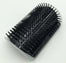 Pet cat Self Groomer Grooming Tool Hair Removal Brush Comb for Dogs Cats Hair Shedding Trimming Cat Massage Device with catnip - Black / 9x13cm Find Epic Store