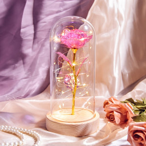 Beauty and The Beast Preserved Roses In Glass Galaxy Rose Flower LED Light Artificial Flowers Christmas Valentine Gift for Girls - White Base-Pink Find Epic Store