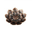 Retro Lotus Incense Burners - D 9x1.5cm Find Epic Store