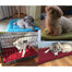 Large Cozy Soft Dog Bed Pet Cushion Sofa - Find Epic Store