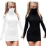 Turtle Neck Mask Sheath Long Sleeve Dress - 200000347 Find Epic Store