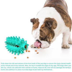 Pet Puppy Toys Pet Dog Toy Single Suction Cup Cactus Teeth Bite-resistant Cleaning Teeth Dog Toothbrush Toy - 200003723 Find Epic Store