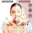 Facial Steamer for Face Nano Ionic Steamer for Home Facial Spa, Unclogs Pores, Warm Mist Humidifier Atomizer - 200190142 Find Epic Store