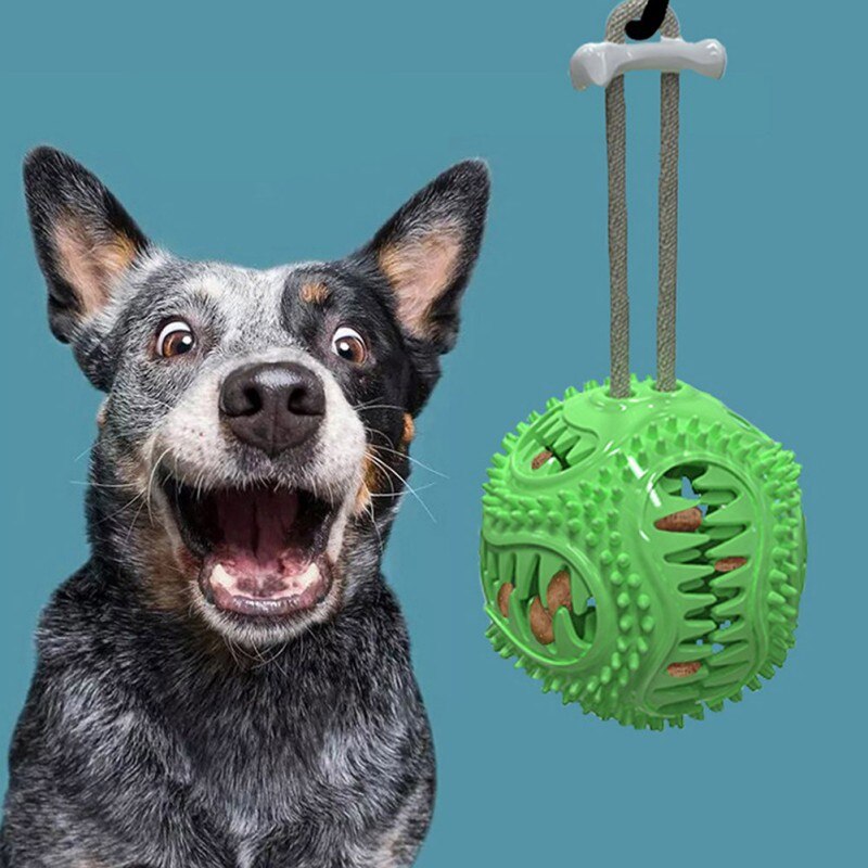 Dog Bite Resistant Toothbrush Molar Ball Pet TPR Decompression Toys Interactive Puppy Chew Toys Durable Funny Pet Accessories - 200003723 Find Epic Store