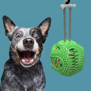 Dog Bite Resistant Toothbrush Molar Ball Pet TPR Decompression Toys Interactive Puppy Chew Toys Durable Funny Pet Accessories - 200003723 Find Epic Store