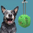 Dog Bite Resistant Toothbrush Molar Ball Pet TPR Decompression Toys Interactive Puppy Chew Toys Durable Funny Pet Accessories - 200003723 Find Epic Store