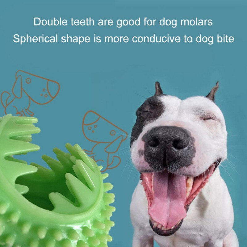 Dog Bite Resistant Toothbrush Molar Ball Pet TPR Decompression Toys Interactive Puppy Chew Toys Durable Funny Pet Accessories - 200003723 Find Epic Store