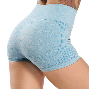 High Waist Seamless Gym Shorts - 200000625 Sky blue / S / United States Find Epic Store