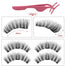 Magnetic Eyelashes With 2/3/4 Magnets - 200001197 KS02-3-N / United States Find Epic Store