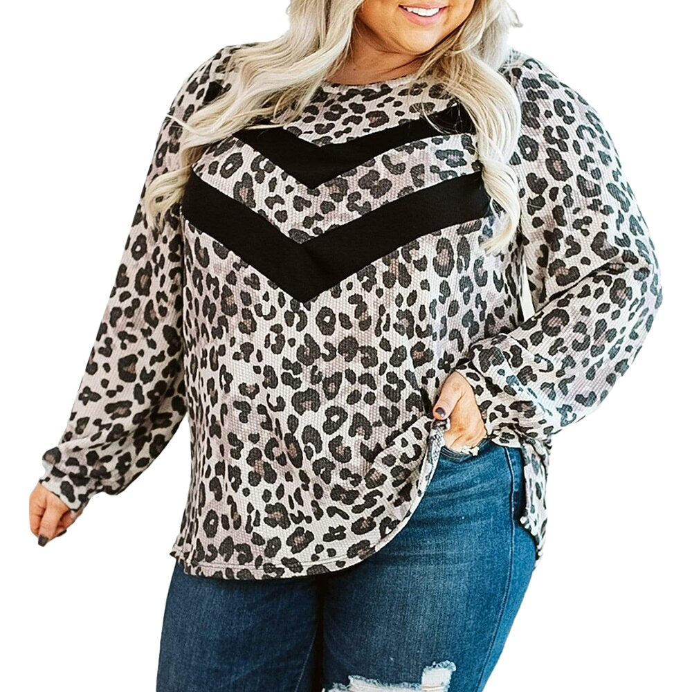 5XL Plus Size Leopard Print Long Sleeve Tee Shirt - 200000791 Leopard / L / United States Find Epic Store