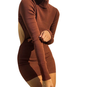 Turtleneck knitted Backless Dress - 200000347 Maroon / S / United States Find Epic Store