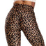 Fashion Snake Print Yoga Pants - 200000614 Find Epic Store