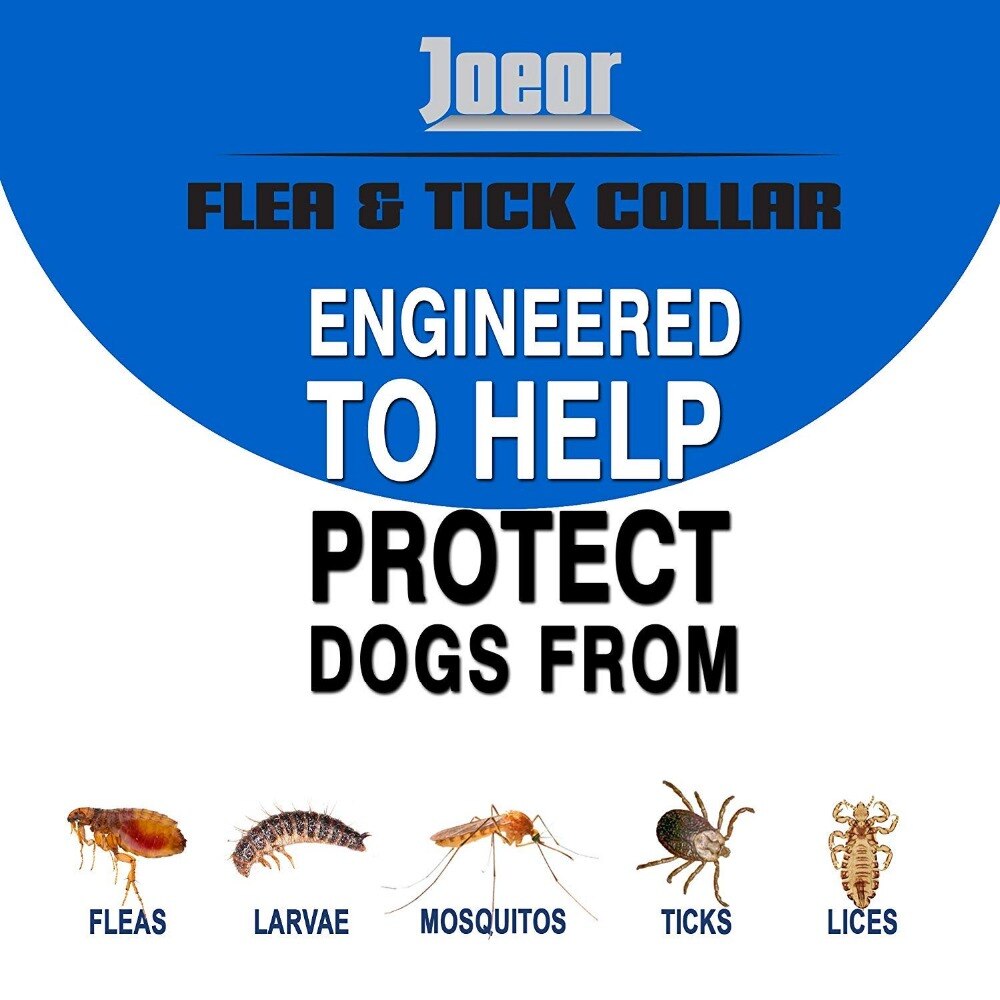 Flea And Tick Collar For Dogs Cats Up To 8 Month Flea Tick Dog Collar Anti-mosquito and insect repellent Pet collars - 200003720 Find Epic Store