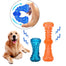 Pet Dog Non-toxic Rubber Chewing Toy Bite-resistant Vocal Dog Chewing Bone Molar Stick Dog Training Toy - 200003723 Find Epic Store