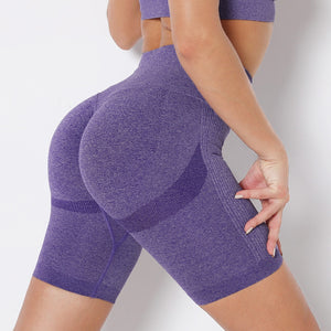 Sexy High Waist Seamless Yoga Shorts Women Gym Yoga Sports Shorts Workout Woman Push Up Buttocks Fitness Gym Shorts - 200000625 Purple / S / United States Find Epic Store