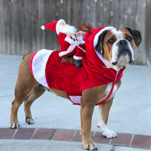 Christmas Pet Dog Cat Costumes Funny Santa Claus Costume For Dogs Cats Novelty Dog Clothes Chihuahua Pug York shire Clothing - 0 Find Epic Store