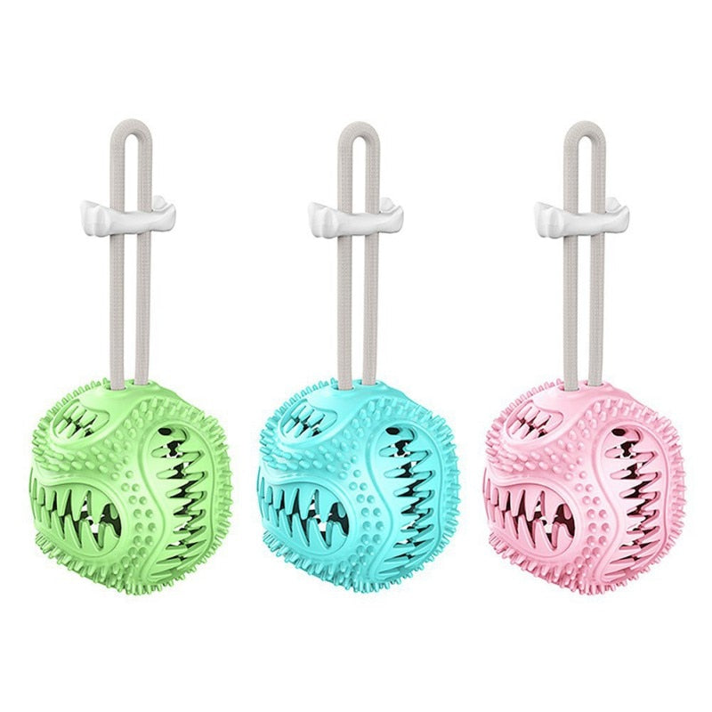 Dog Bite Resistant Toothbrush Molar Ball Pet TPR Decompression Toys Interactive Puppy Chew Toys Durable Funny Pet Accessories - 200003723 Find Epic Store