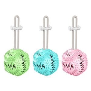 Dog Bite Resistant Toothbrush Molar Ball Pet TPR Decompression Toys Interactive Puppy Chew Toys Durable Funny Pet Accessories - 200003723 Find Epic Store