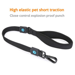 Pet Dog Collars High Elastic Traction Rope Leads 85CM Short Rope For Medium Dogs Supplies Explosion-proof Rush Harnesses - 200003720 Find Epic Store