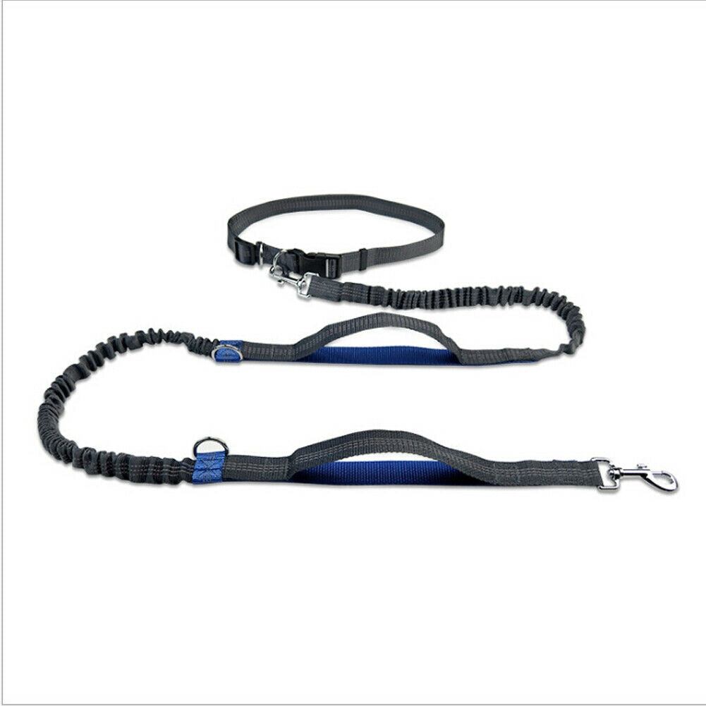 Reflective Rope Pet Leashes - Royal Blue Find Epic Store