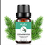 Pure Essential Humidifier and Aromatherapy Oil - Cedarwood Find Epic Store
