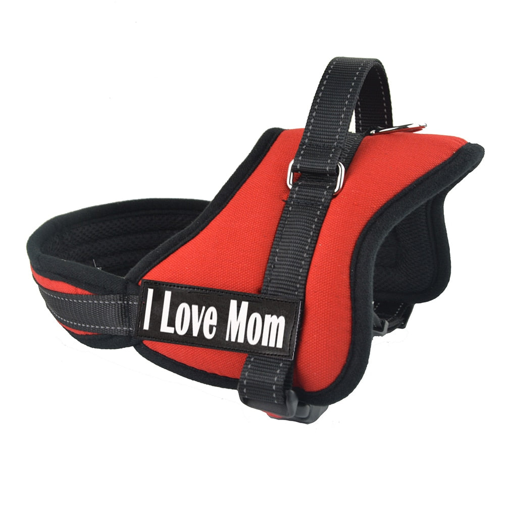 Harness for Dogs - Red / S Find Epic Store