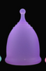 Menstrual and Sterilizer Cup Recyclable Camping Foldable Cup - Purple / 1pc Find Epic Store