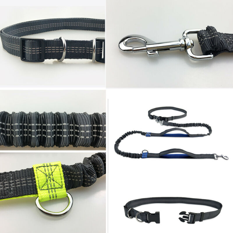 Reflective Rope Pet Leashes - Find Epic Store
