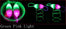LED Shoelaces - Find Epic Store