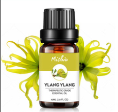 Pure Essential Humidifier and Aromatherapy Oil - Ylang Ylang Find Epic Store