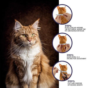 Flea & Tick Prevention Collars for Cats and Dogs - Flea & Tick Collar Find Epic Store