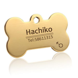 Customized Pet Dog Cat Collars - Pet Collars Gold / S Find Epic Store